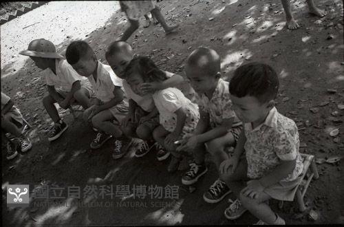 1950至2006年臺灣常民生活藏品圖，第1張