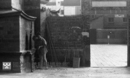 1950至2006年臺灣常民生活藏品圖，第1張