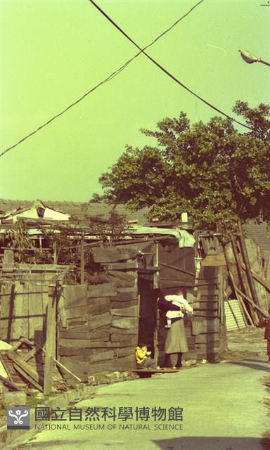 1950至2006年臺灣常民生活藏品圖，第1張