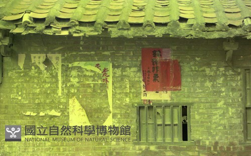 1950至2006年臺灣常民生活藏品圖，第1張