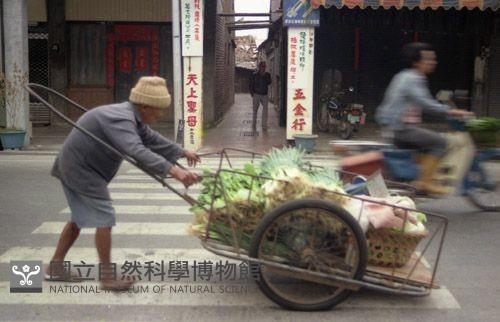 1950至2006年臺灣常民生活藏品圖，第1張