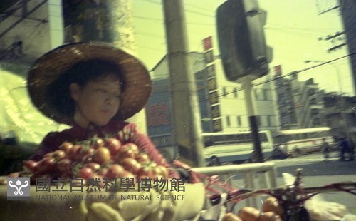 1950至2006年臺灣常民生活藏品圖，第1張