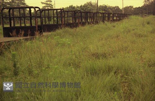 1950至2006年臺灣常民生活藏品圖，第1張