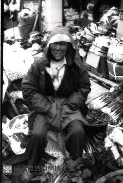 1950至2006年臺灣常民生活藏品圖，第1張