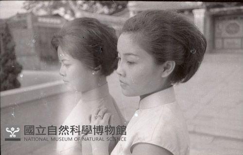 1950至2006年臺灣常民生活藏品圖，第1張