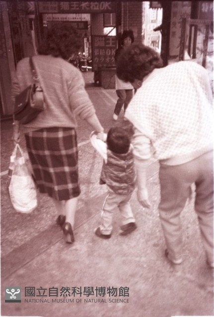 1950至2006年臺灣常民生活藏品圖，第1張