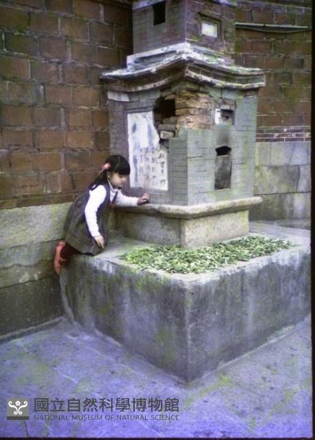 1950至2006年臺灣常民生活藏品圖，第1張