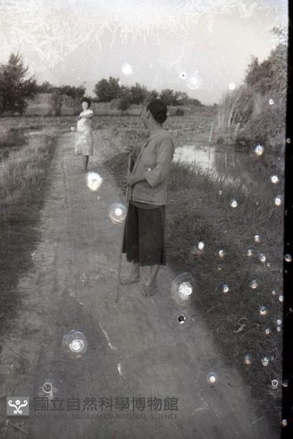 1950至2006年臺灣常民生活藏品圖，第1張