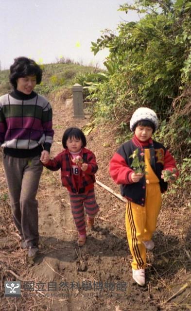 1950至2006年臺灣常民生活藏品圖，第1張