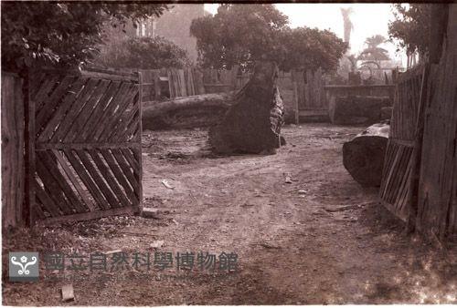 1950至2006年臺灣常民生活藏品圖，第1張