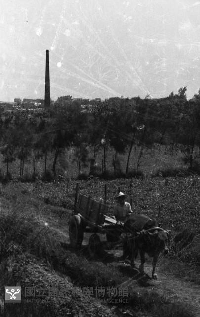 1950至2006年臺灣常民生活藏品圖，第1張