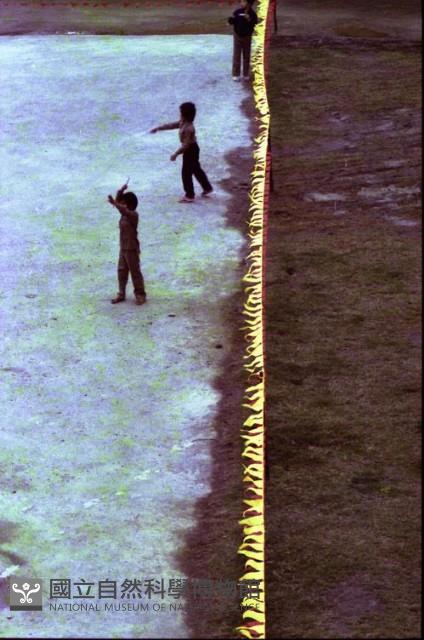 1950至2006年臺灣常民生活藏品圖，第1張