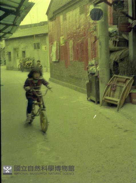 1950至2006年臺灣常民生活藏品圖，第1張