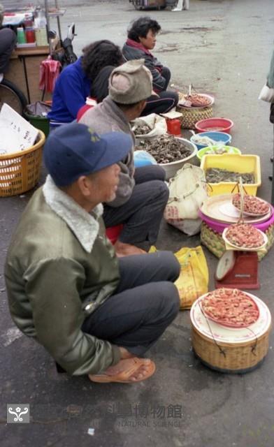 1950至2006年臺灣常民生活藏品圖，第1張