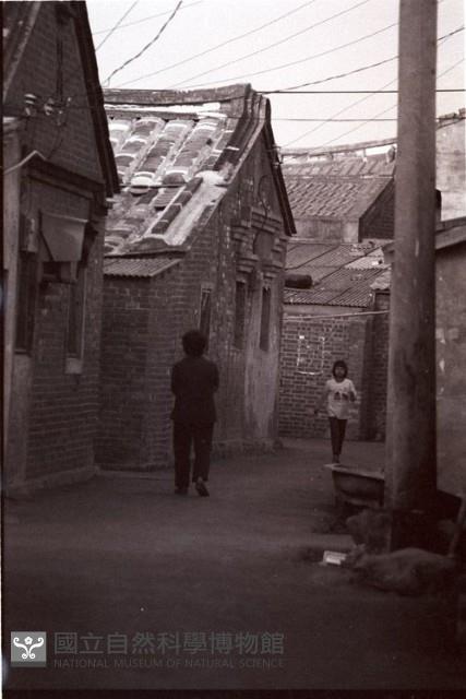1950至2006年臺灣常民生活藏品圖，第1張