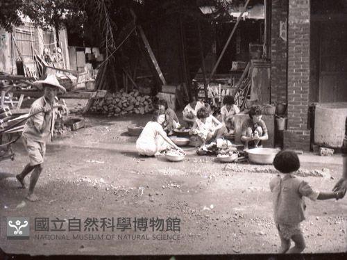 1950至2006年臺灣常民生活藏品圖，第1張
