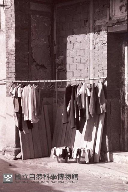 1950至2006年臺灣常民生活藏品圖，第1張