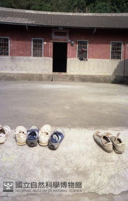 1950至2006年臺灣常民生活藏品圖，第1張