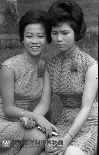 1950至2006年臺灣常民生活藏品圖，第1張