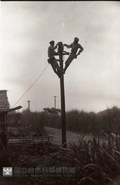 1950至2006年臺灣常民生活藏品圖，第1張