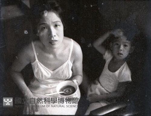 1950至2006年台灣常民生活藏品圖，第1張