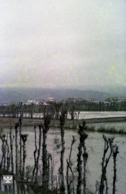 1950至2006年臺灣常民生活藏品圖，第1張