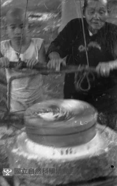 1950至2006年臺灣常民生活藏品圖，第1張