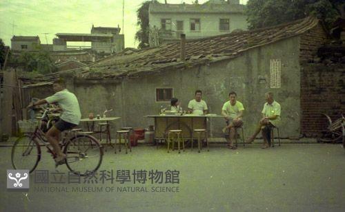 1950至2006年臺灣常民生活藏品圖，第1張