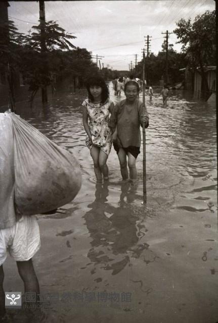 1950至2006年臺灣常民生活藏品圖，第1張