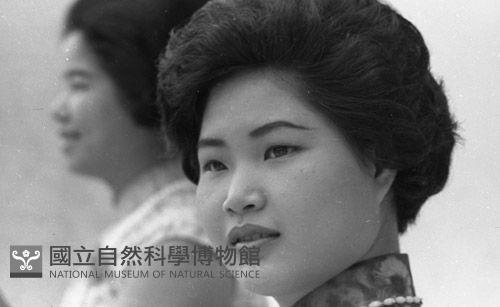 1950至2006年臺灣常民生活藏品圖，第1張