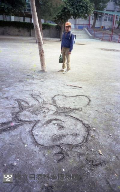 1950至2006年臺灣常民生活藏品圖，第1張