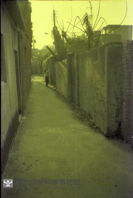 1950至2006年臺灣常民生活藏品圖，第1張