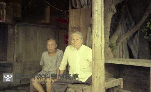 1950至2006年臺灣常民生活藏品圖，第1張