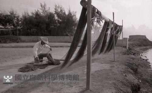 1950至2006年臺灣常民生活藏品圖，第1張