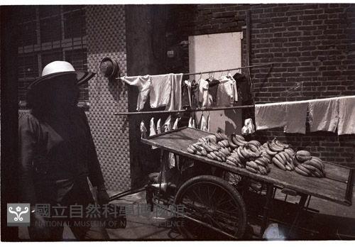 1950至2006年臺灣常民生活藏品圖，第1張