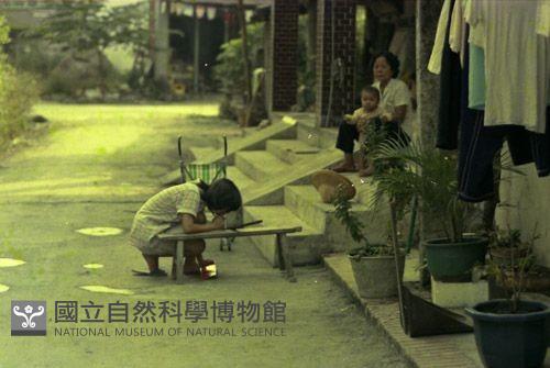1950至2006年臺灣常民生活藏品圖，第1張