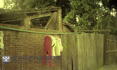 1950至2006年臺灣常民生活藏品圖，第1張