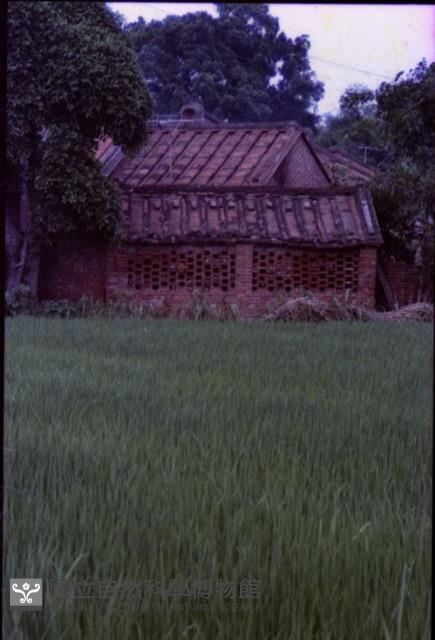 1950至2006年臺灣常民生活藏品圖，第1張
