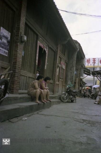 1950至2006年臺灣常民生活藏品圖，第1張