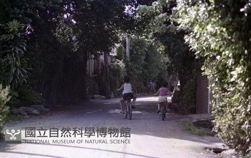 1950至2006年臺灣常民生活藏品圖，第1張