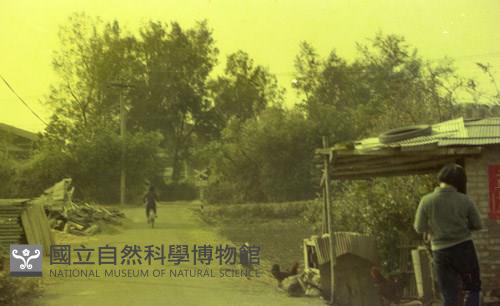 1950至2006年臺灣常民生活藏品圖，第1張