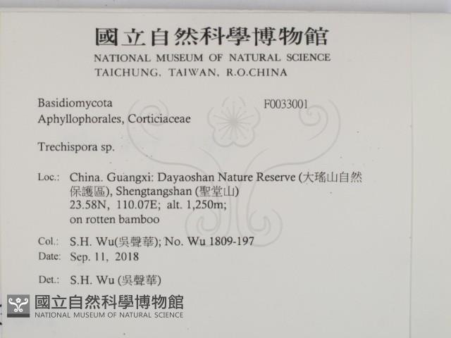 登錄號:F0033001藏品圖，第2張