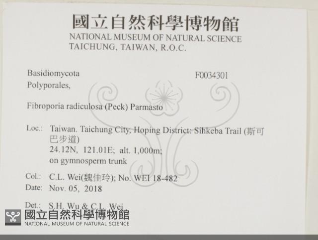 登錄號:F0034301藏品圖，第2張