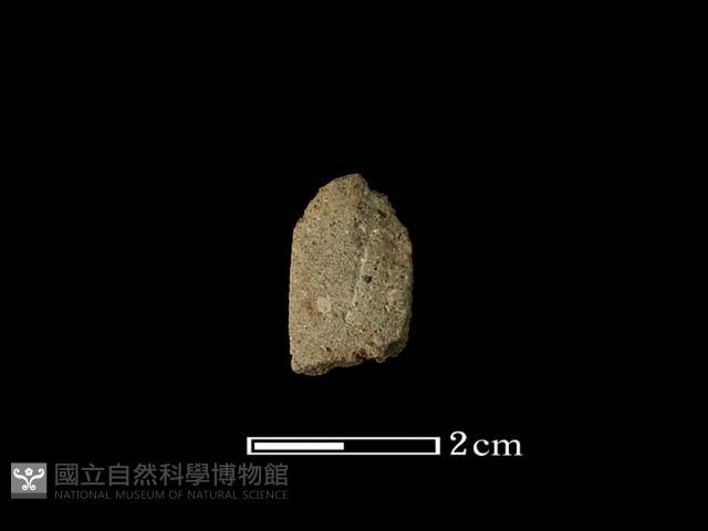 矛鏃形器藏品圖，第2張