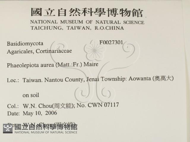 登錄號:F0027301藏品圖，第2張
