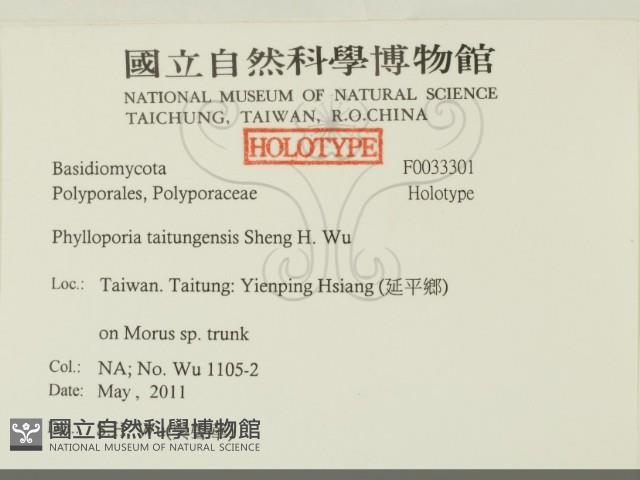 登錄號:F0033301藏品圖，第2張