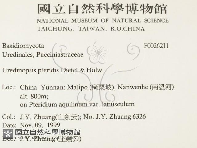 登錄號:F0026211藏品圖，第2張