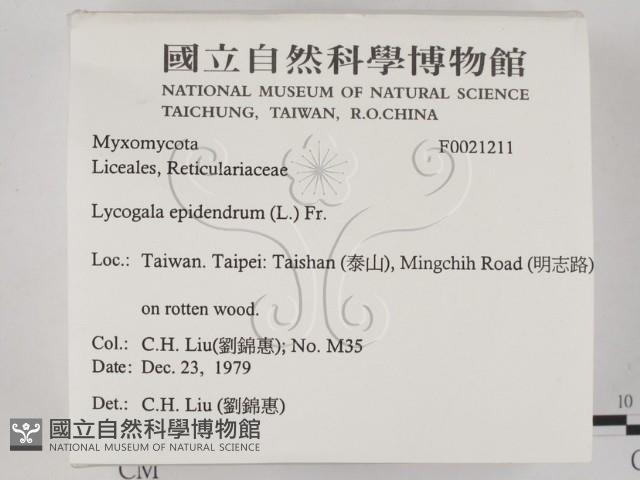 登錄號:F0021211藏品圖，第2張