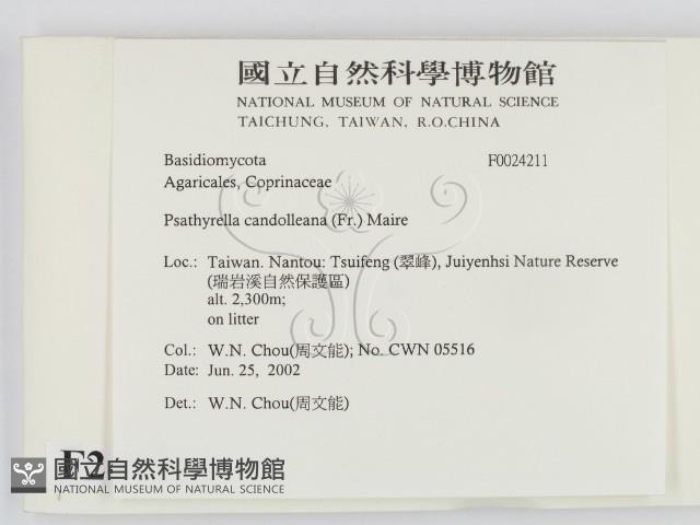 登錄號:F0024211藏品圖，第2張