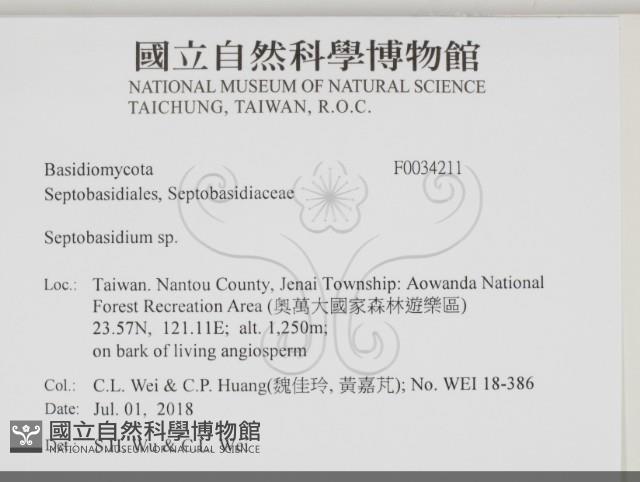 登錄號:F0034211藏品圖，第2張